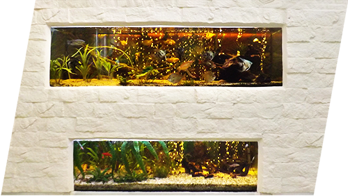 Akwarium zabudowane w ścianę